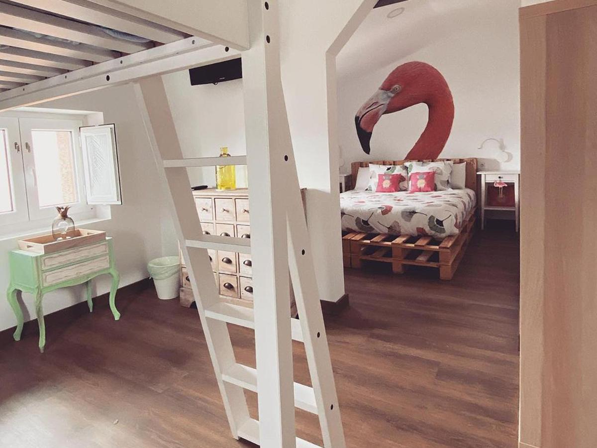 La Arena Cocos Surfhouseホステル エクステリア 写真