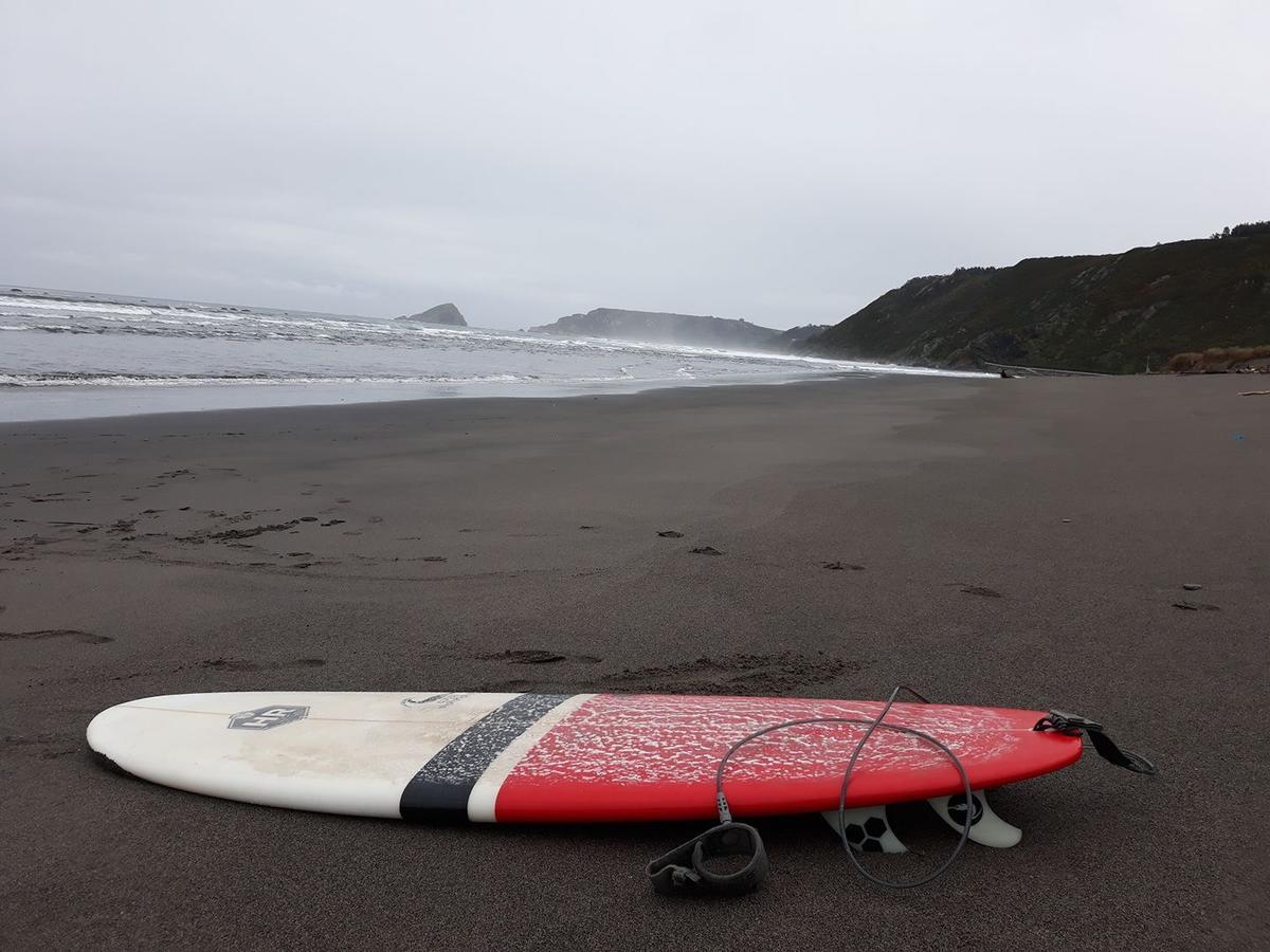 La Arena Cocos Surfhouseホステル エクステリア 写真